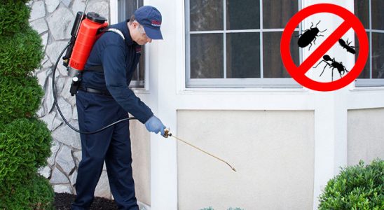 Tefenni Hamam Böceği İlaçlama böcek ilaçlama ve haşere kontrolü — ilaclama-tr.com